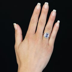 Modern Sapphire Diamonds 18 Karat White Gold Skirt Cluster Ring