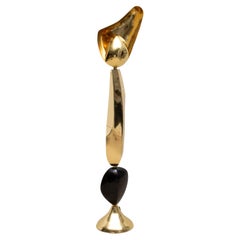 Modern Sculptural Floor Lamp in Polished Brass with Black Shell Details by KIFU