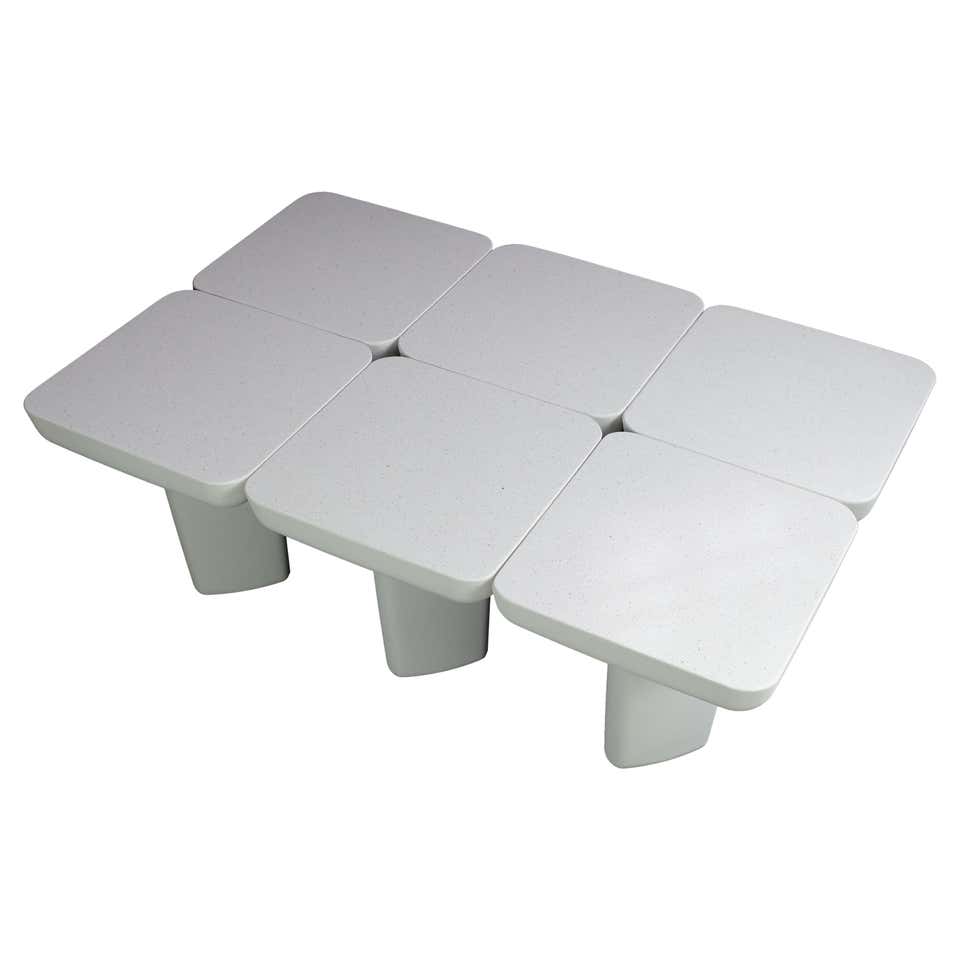 Organic Ameba Shape Molded Plywood Multi Layer Mesa Coffee Table at ...