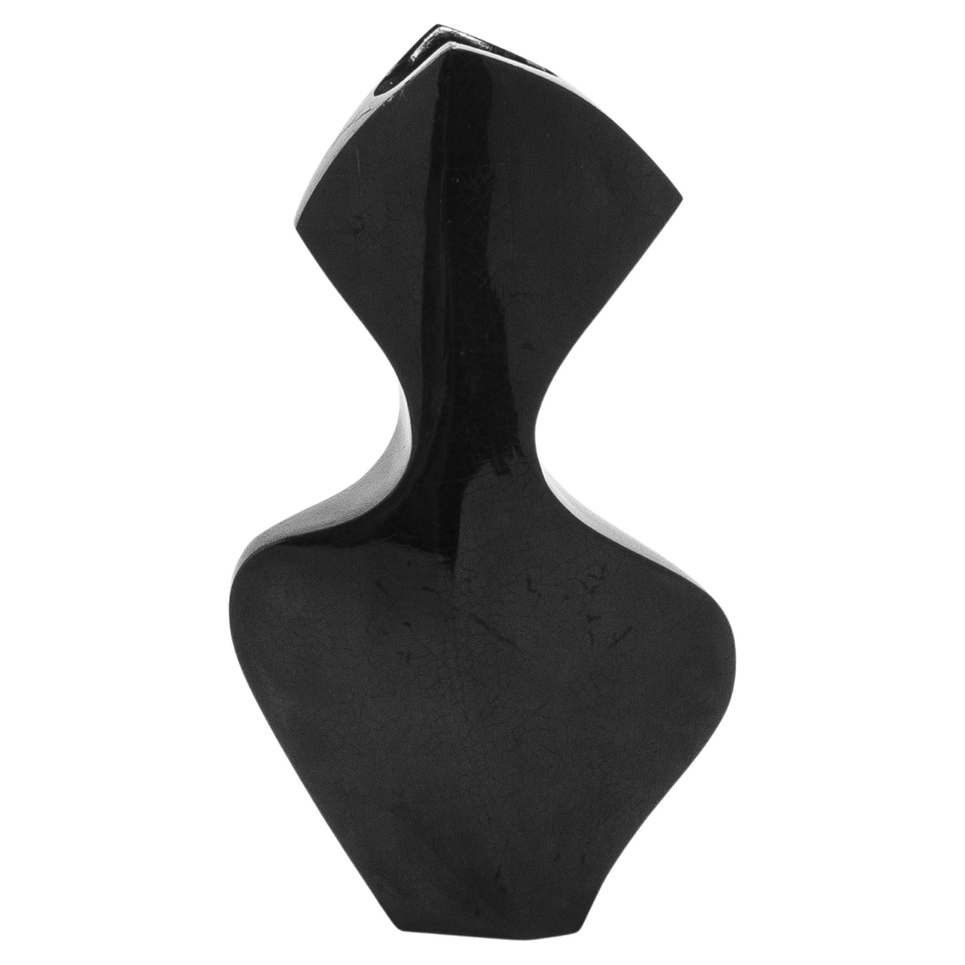 Vaso scultoreo moderno Black Shell di R&Y Augousti