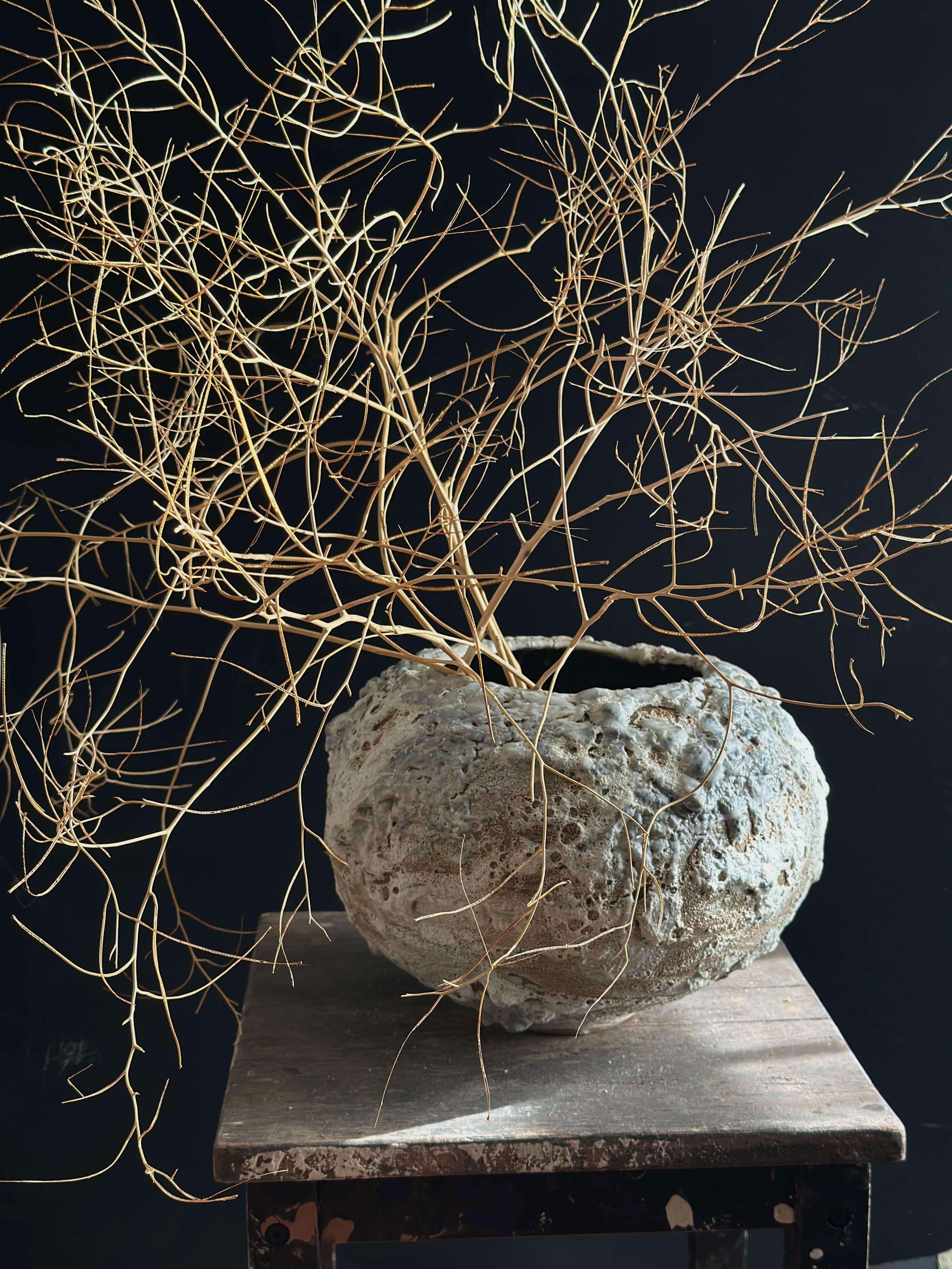 Modern Sculptural Vase Inspired by Organic Forms In New Condition For Sale In Pasadena, CA