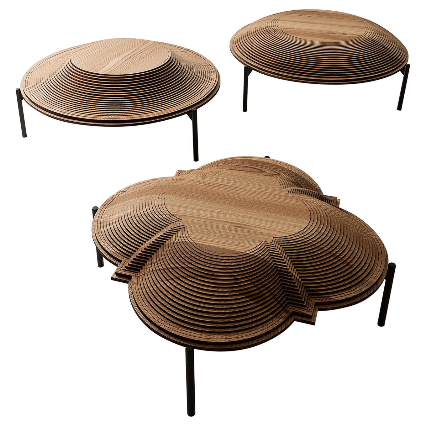 Modern Sculptural Wood Coffee Table "Dome 1" by Sebastiano Bottos, Italy