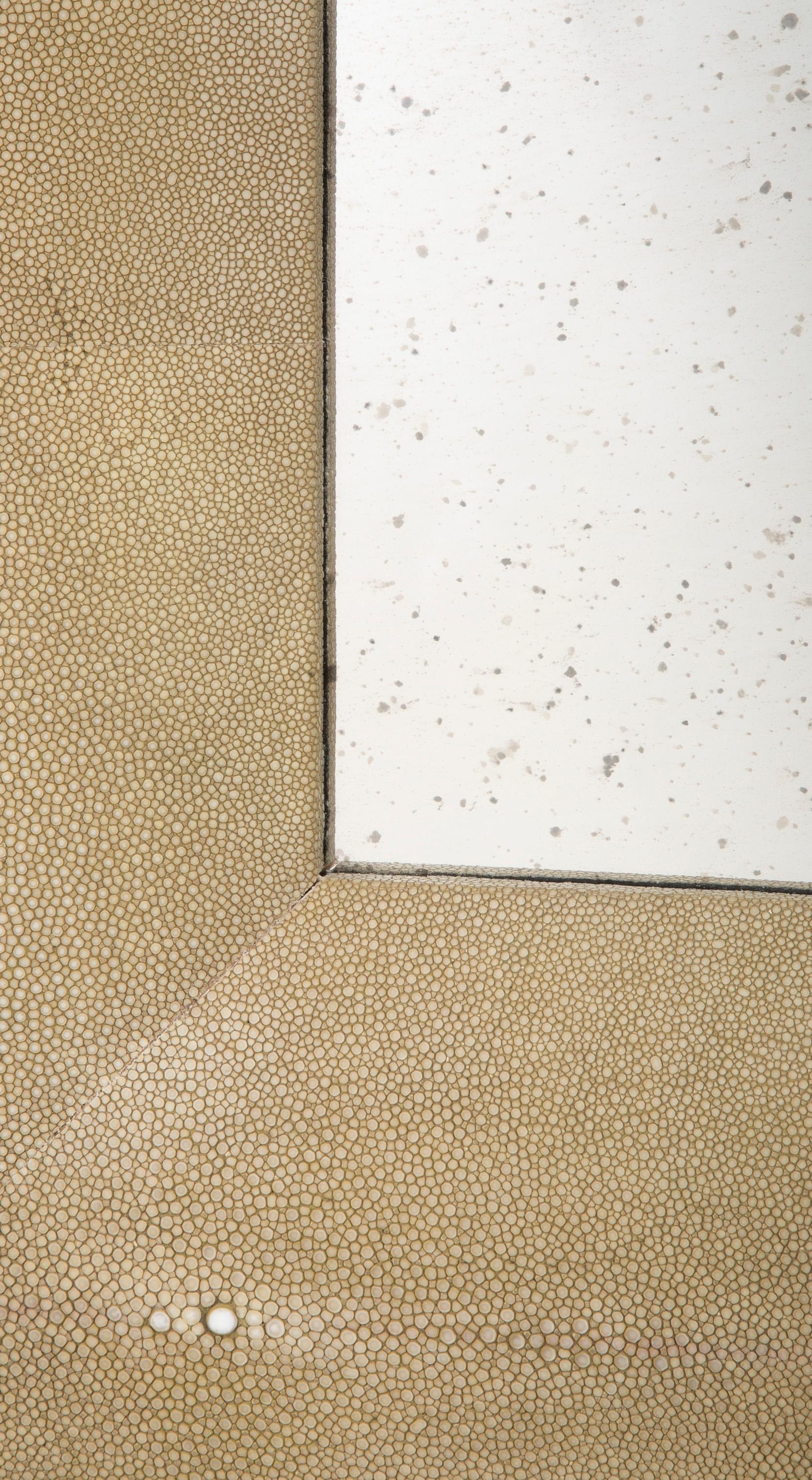 Modern Shagreen Rectangular Mirror 4