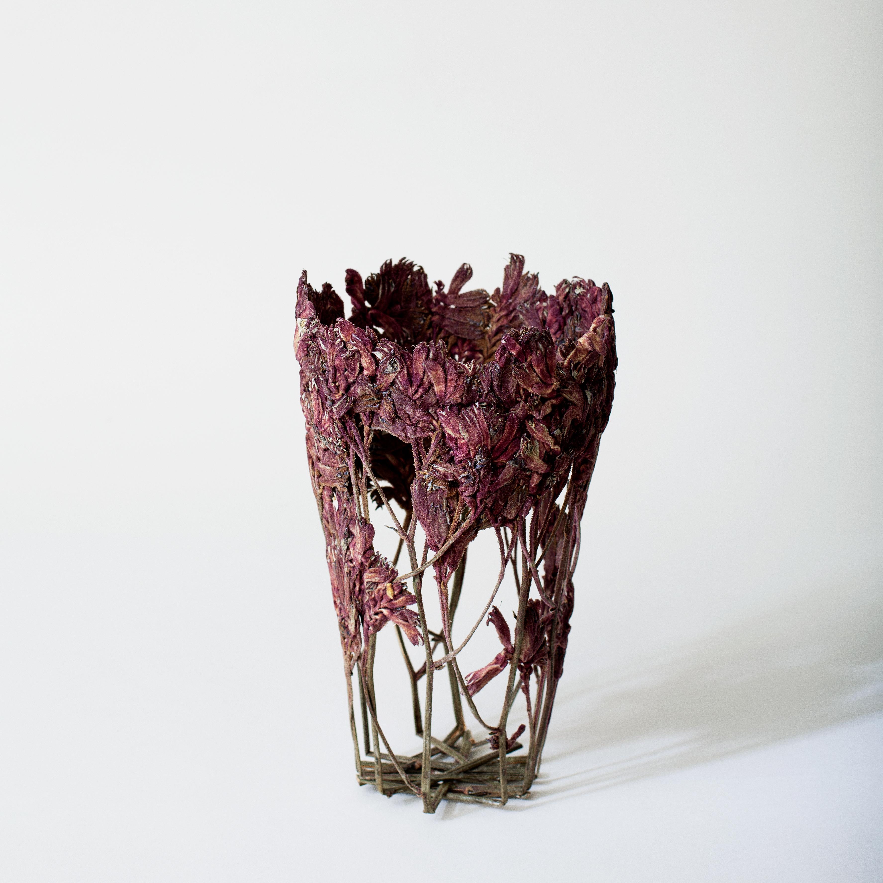 Moderne Sculpture moderne de fleur séchée colorée Shannon Clegg Dilmos Edizioni en vente
