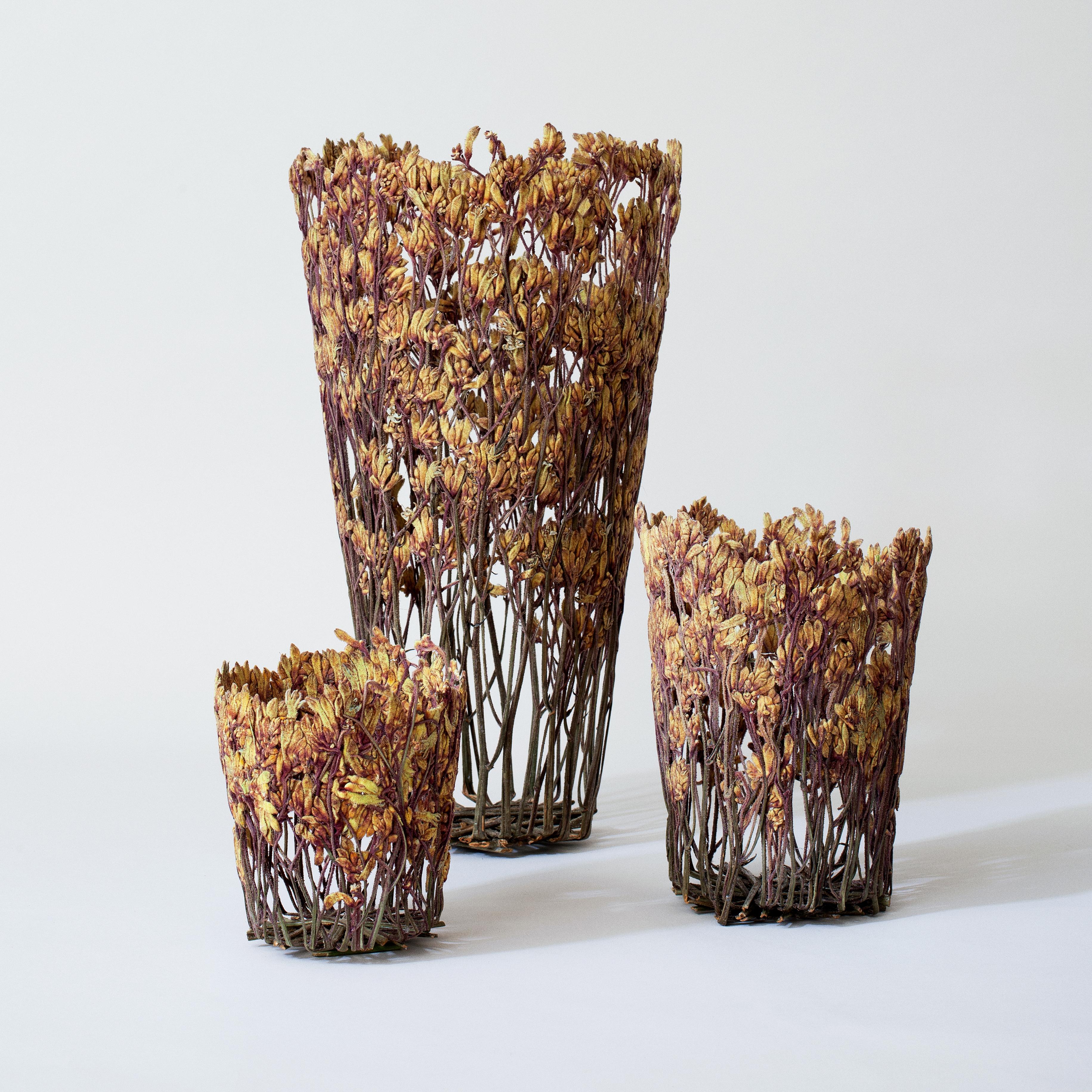Moderne Sculpture de vase moderne colorée à fleurs séchées Dilmos Edizioni de Shannon Clegg en vente