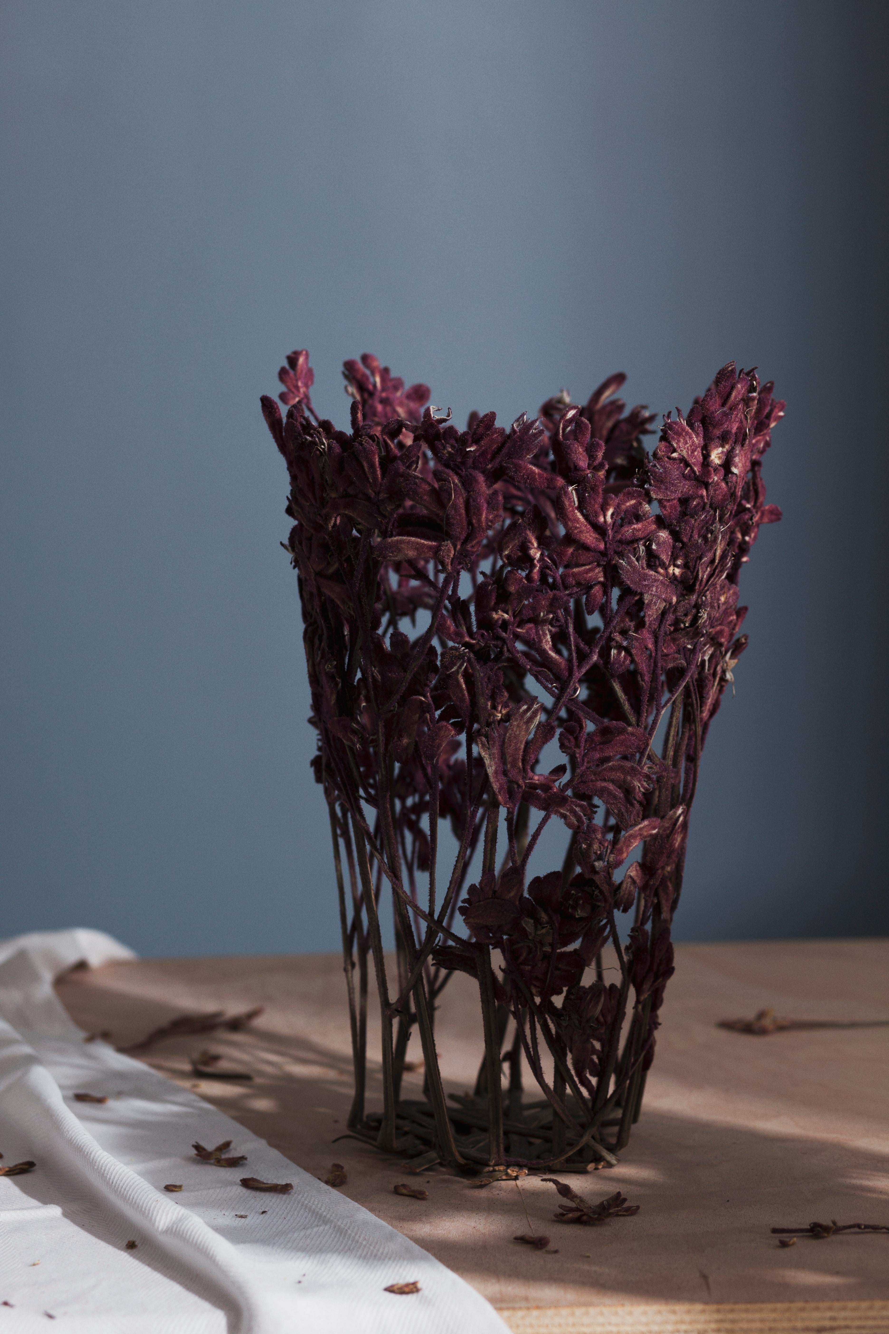 Britannique Sculpture moderne de fleur séchée colorée Shannon Clegg Dilmos Edizioni en vente