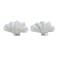 Modern Shell Pair of White Marble and Mother of Pearl Powder French Sconces