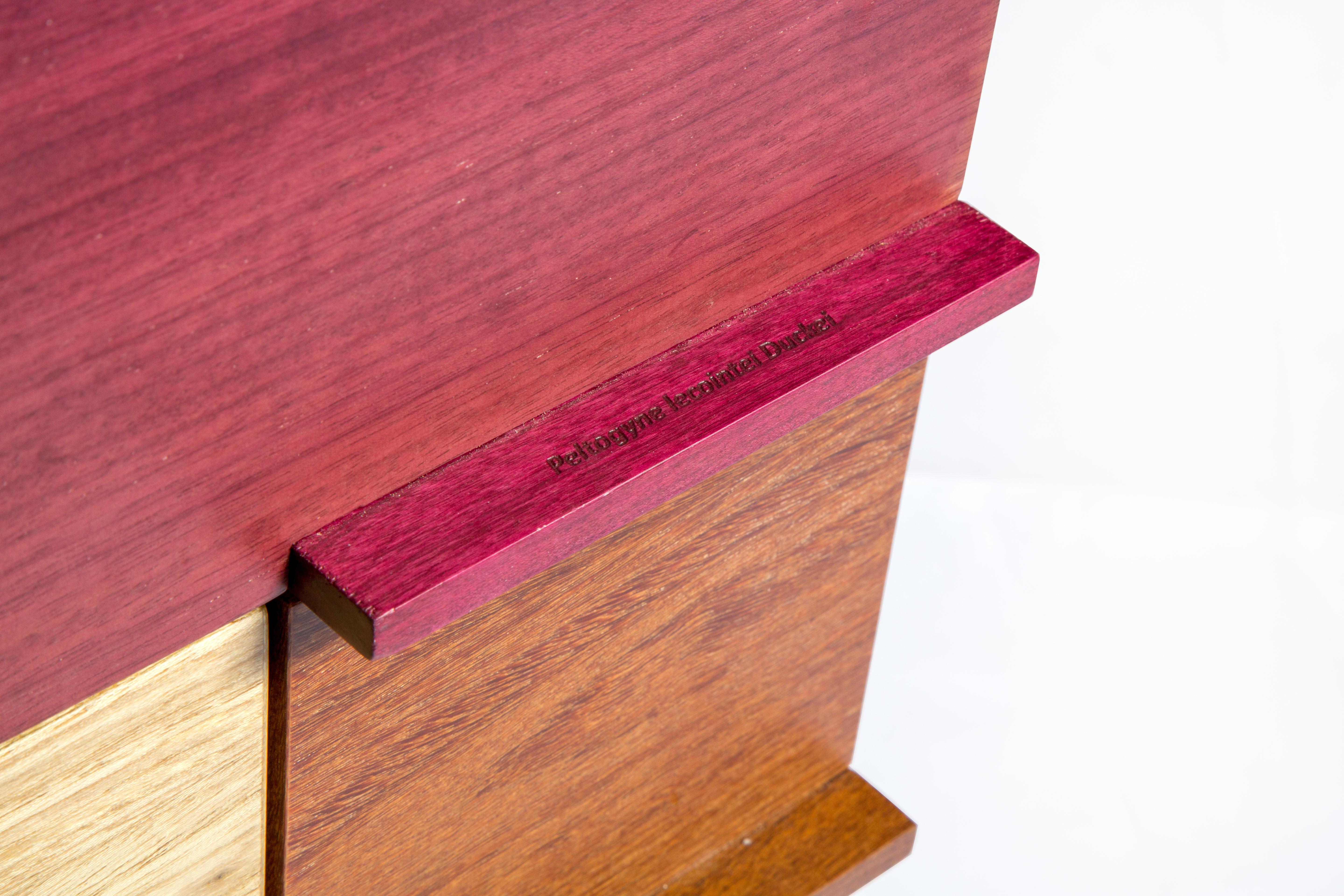 Modern Side Table by Ivan Rezende in Brazilian Wood For Sale 9