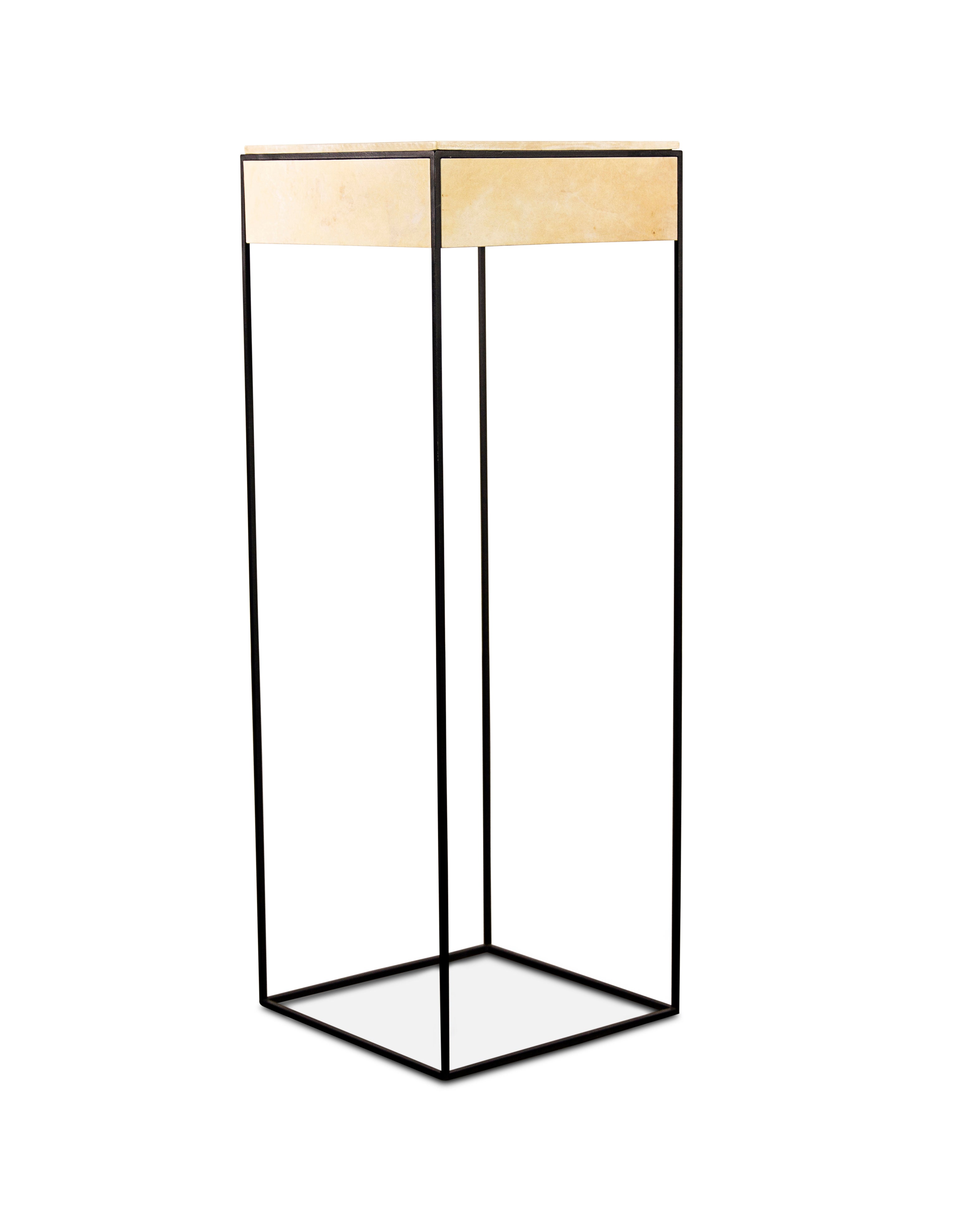 Modern Acrylic and Zebra Wood Side Table In Stock For Sale at 1stDibs