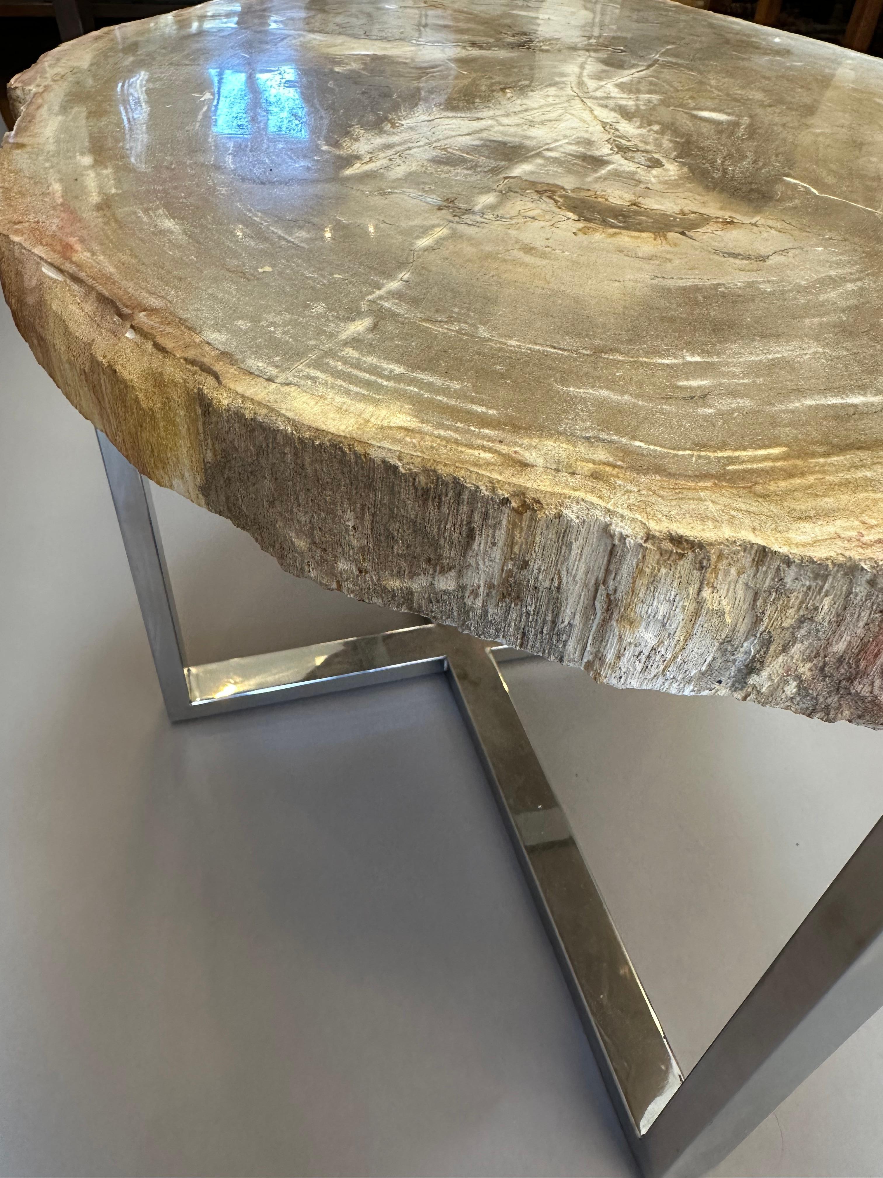 Prehistoric Modern Side Table with 100 Million Year Old Petrified Wood Top For Sale