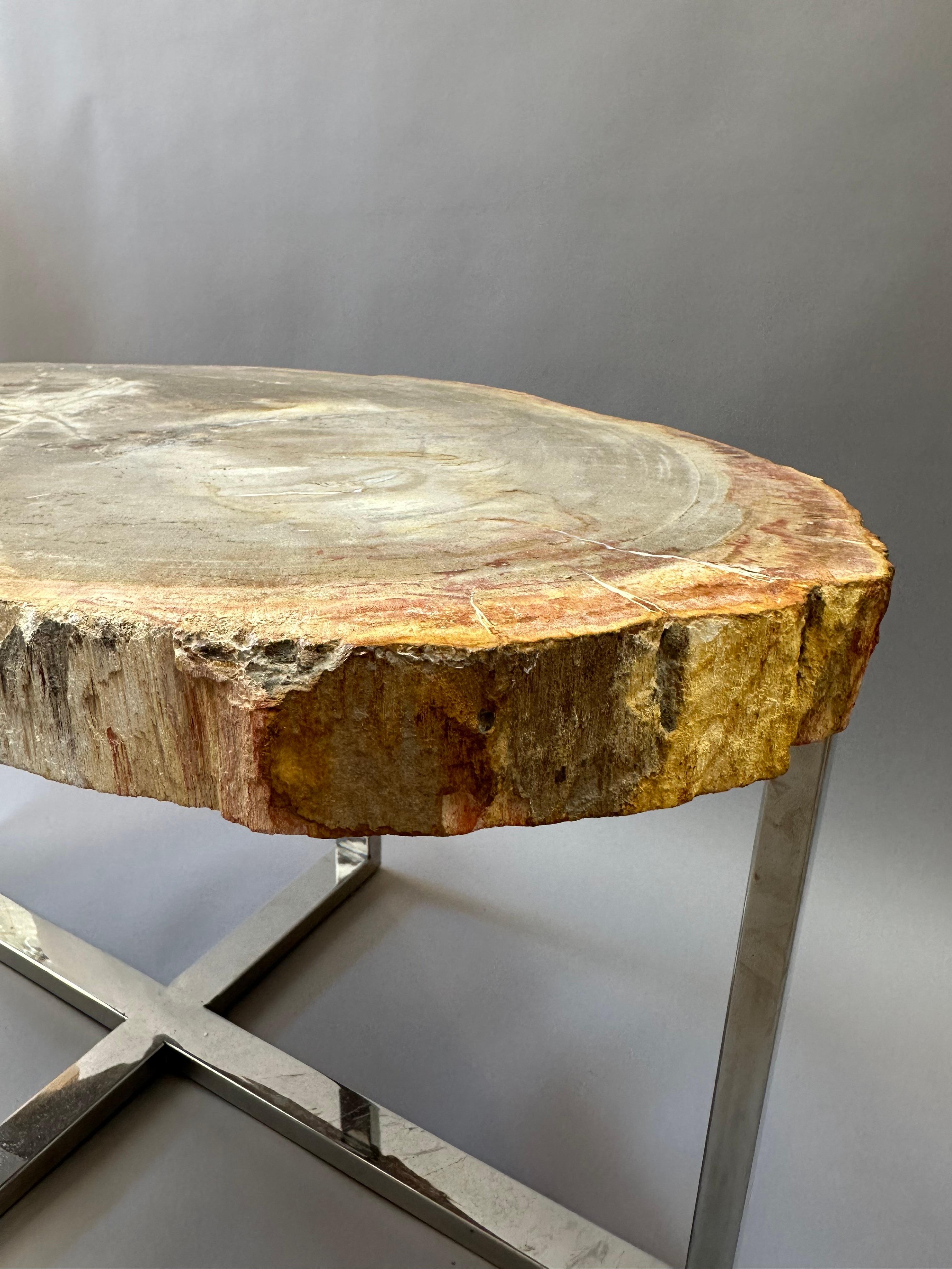 American Modern Side Table with 100 Million Year Old Petrified Wood Top For Sale