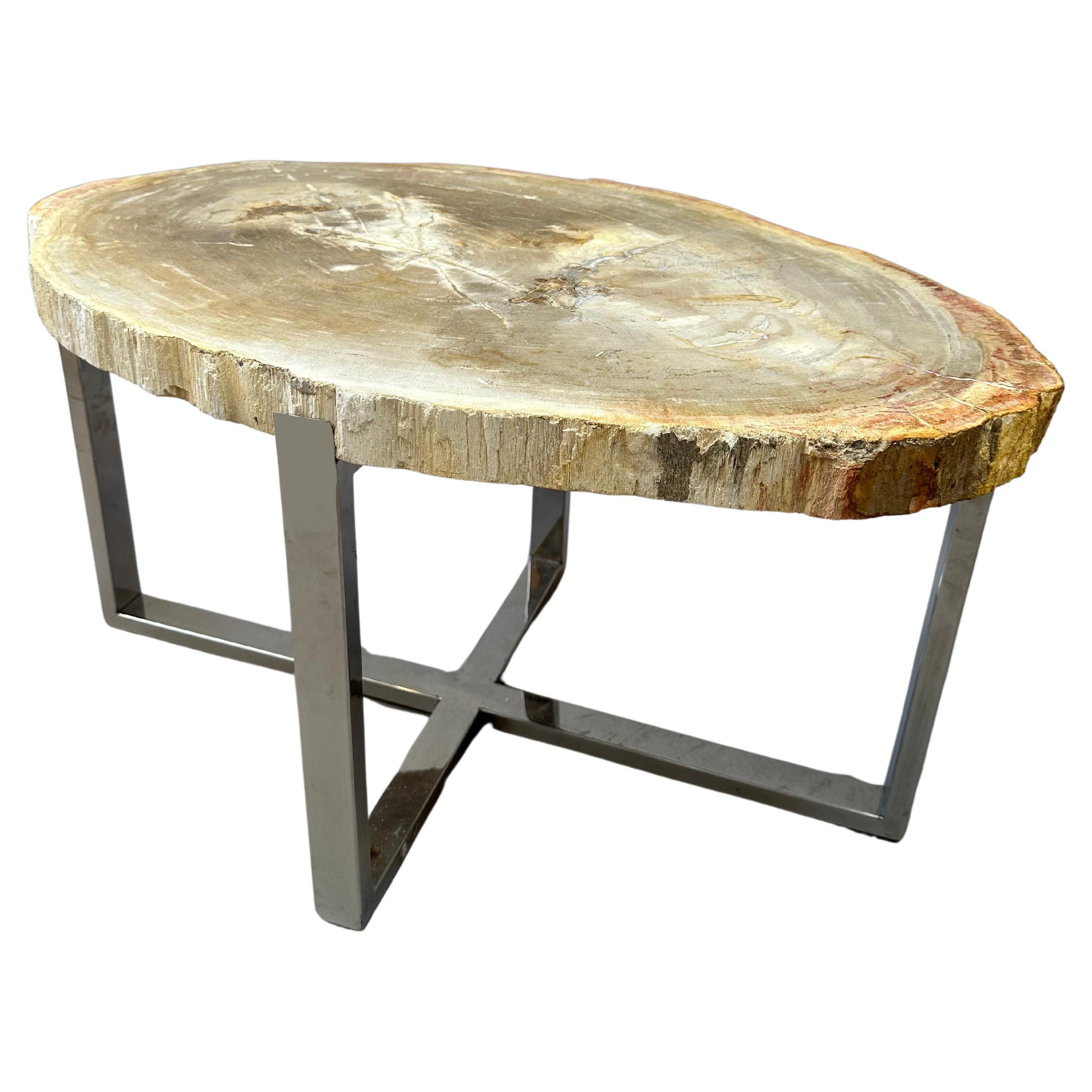 Modern Side Table with 100 Million Year Old Petrified Wood Top For Sale