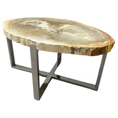Modern Side Table with 100 Million Year Old Petrified Wood Top