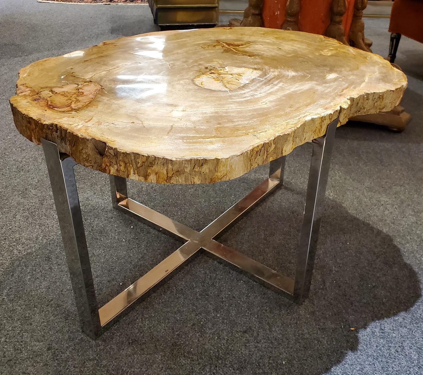 Unusual modern side table with 160 million year old petrified wood top. This table with custom made chrome base is not only functional but it will be a conversation piece in your unique home decor. Could be used as a coffee table in a small space as