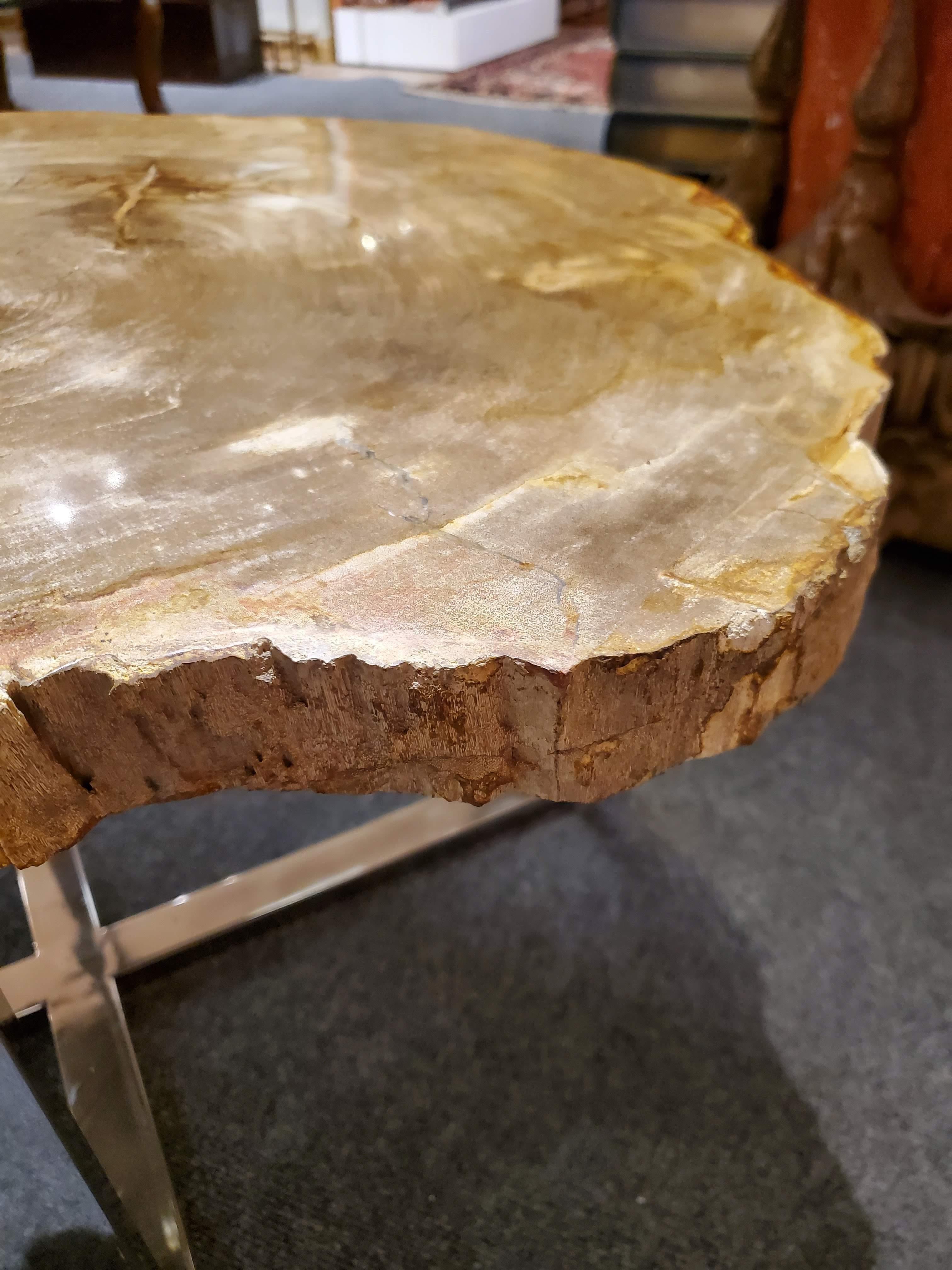 Contemporary Modern Side Table with Petrified Wood Top and Custom Chrome Base