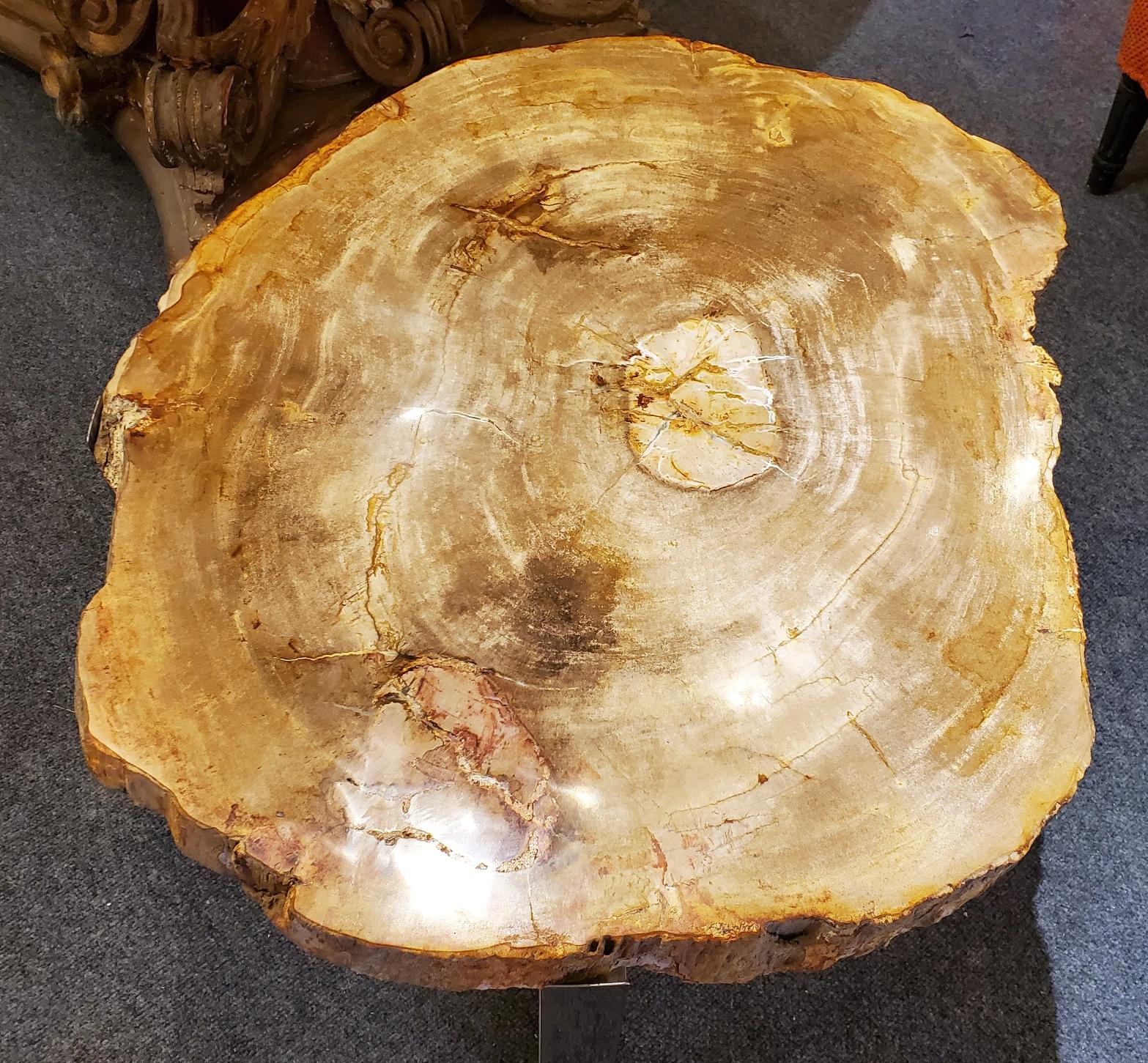 Modern Side Table with Petrified Wood Top and Custom Chrome Base 1