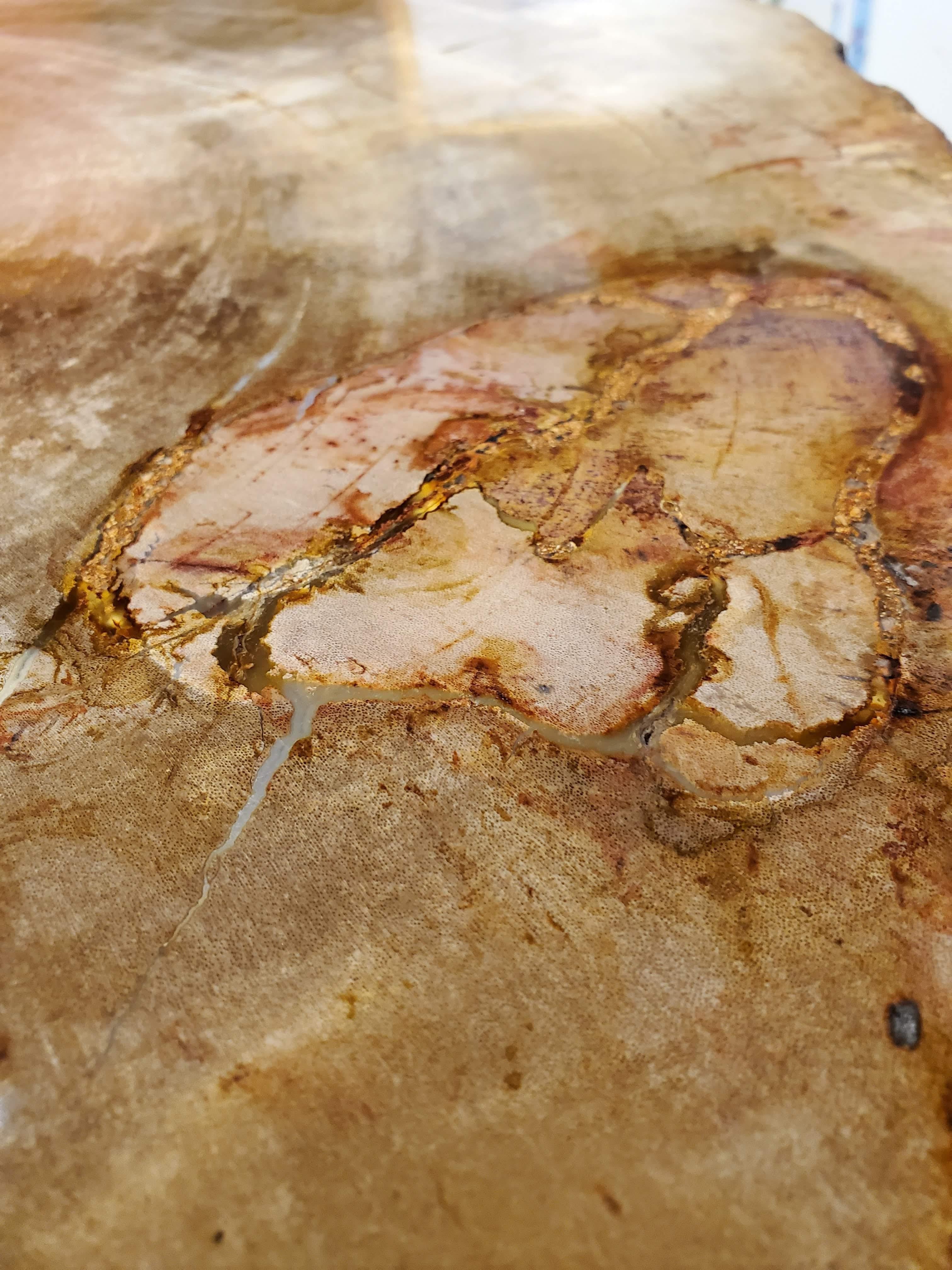 Modern Side Table with Petrified Wood Top and Custom Chrome Base 4