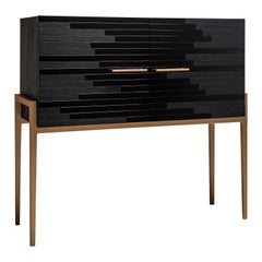 Modern Small Cabinet for Living Room in Black Lacquer and Black Oak