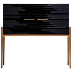 Modern Small Cabinet for Living Room in Black Lacquer and Black Oak