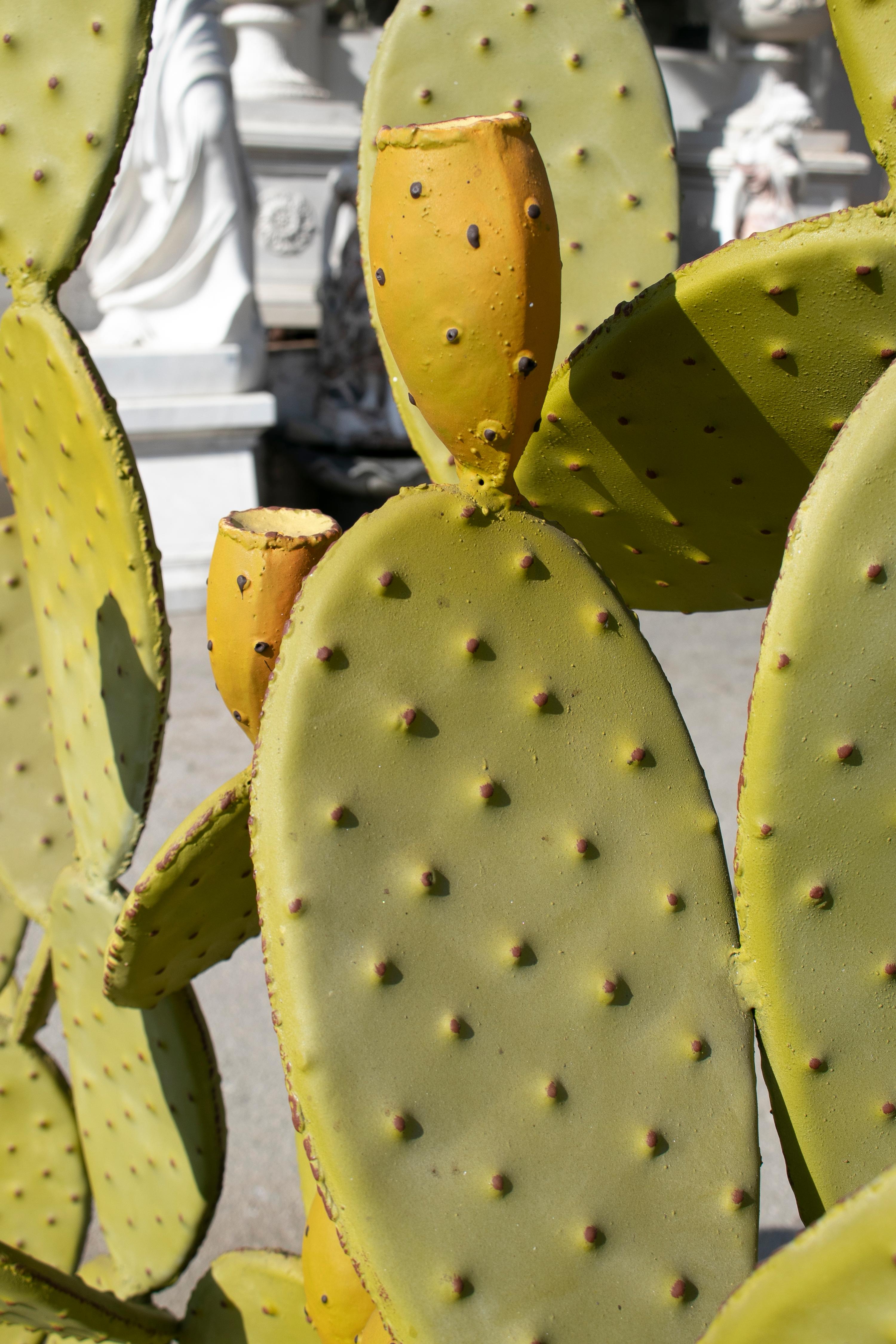Moderne spanische handbemalte Kaktus-Eisen-Garten-Skulptur im Angebot 5