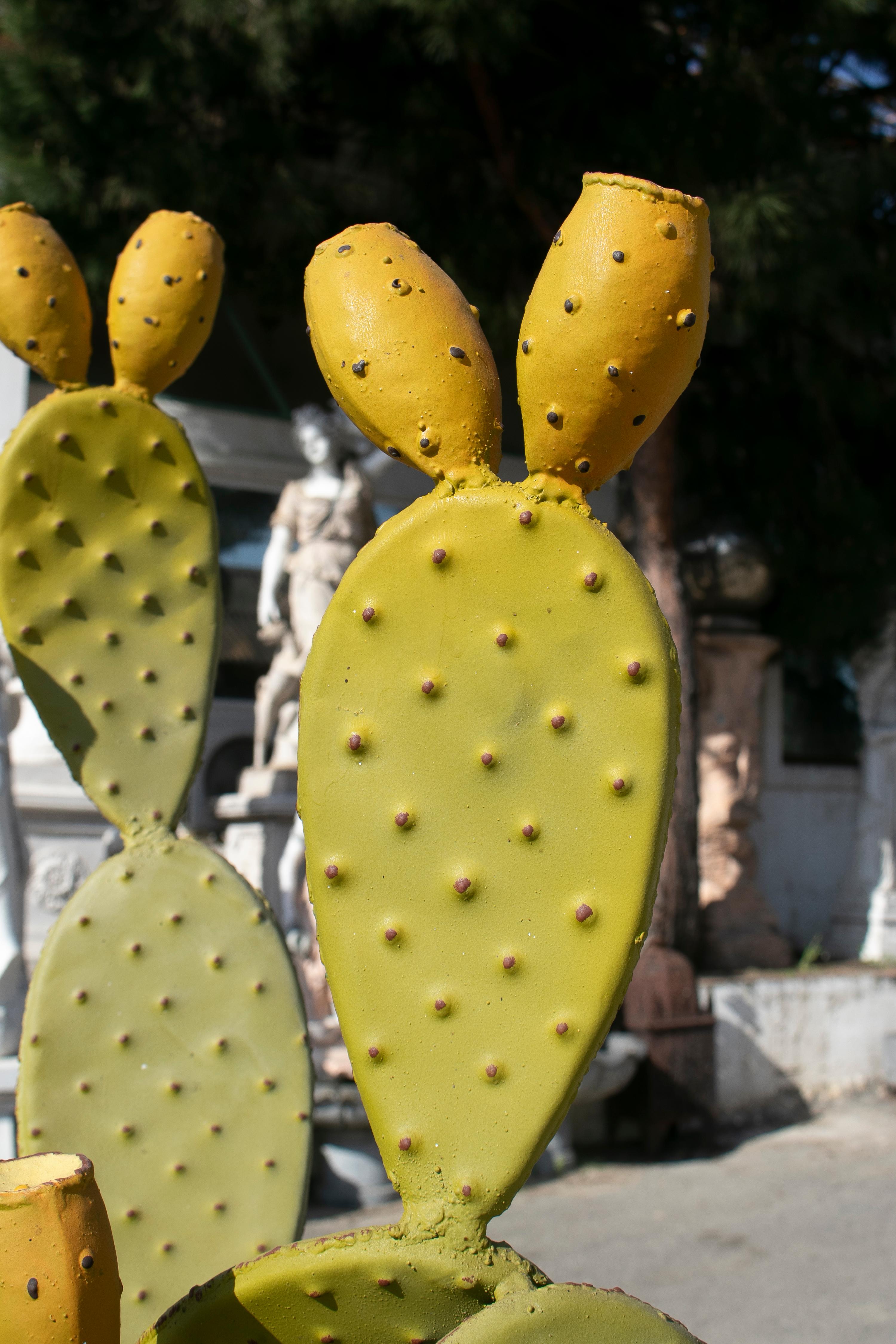 Modern Spanish Hand Painted Cactus Iron Garden Sculpture For Sale 2