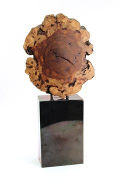 Modern Specimen Cut Tree Trunk Mounted on Pedestal