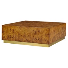 Modern Square Burl Wood Coffee Table
