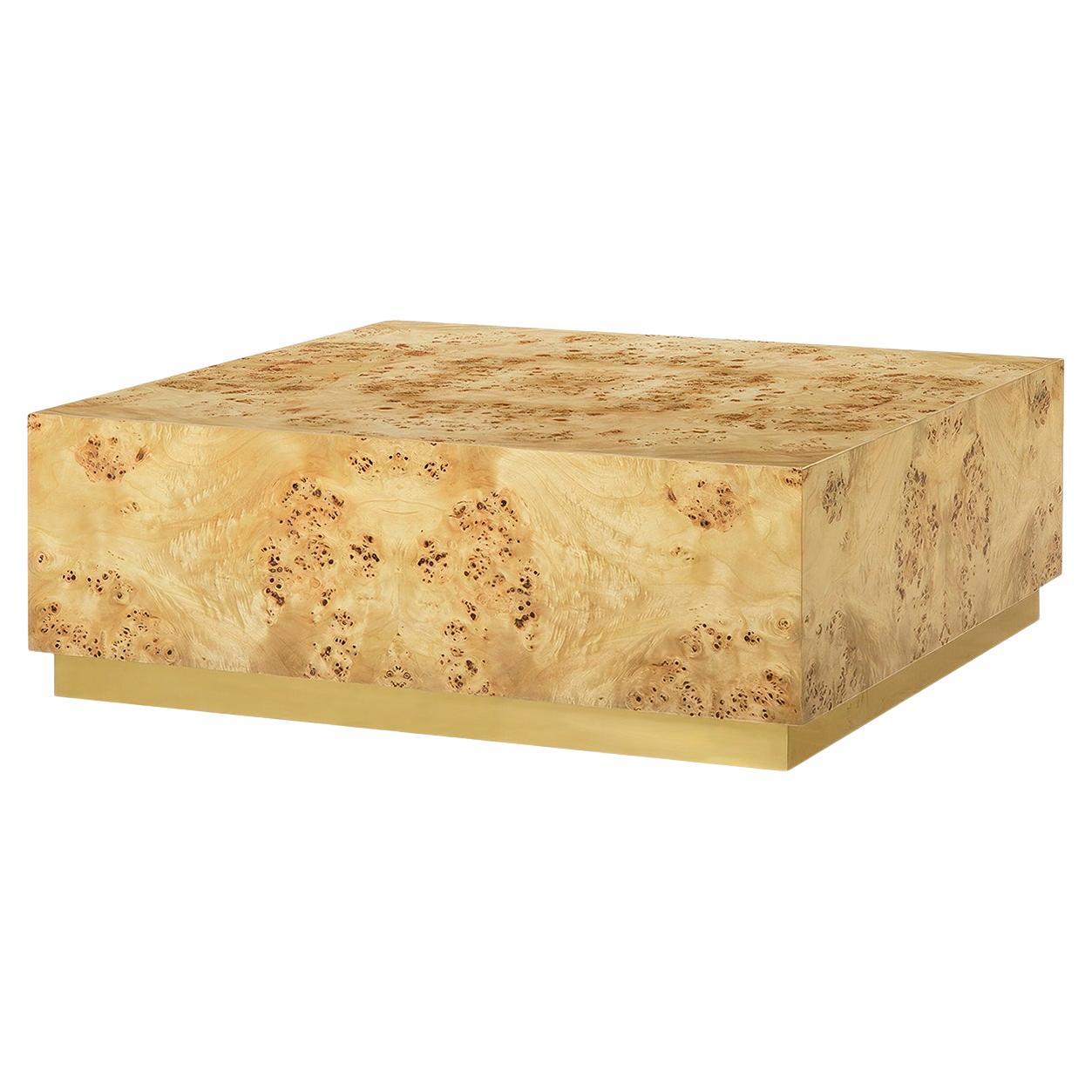 Modern Square Light Wurzelholz Couchtisch