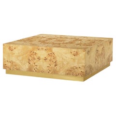 Modern Square Light Burl Wood Coffee Table