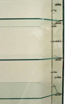 Modern Steel and Glass Showcase Cabinet