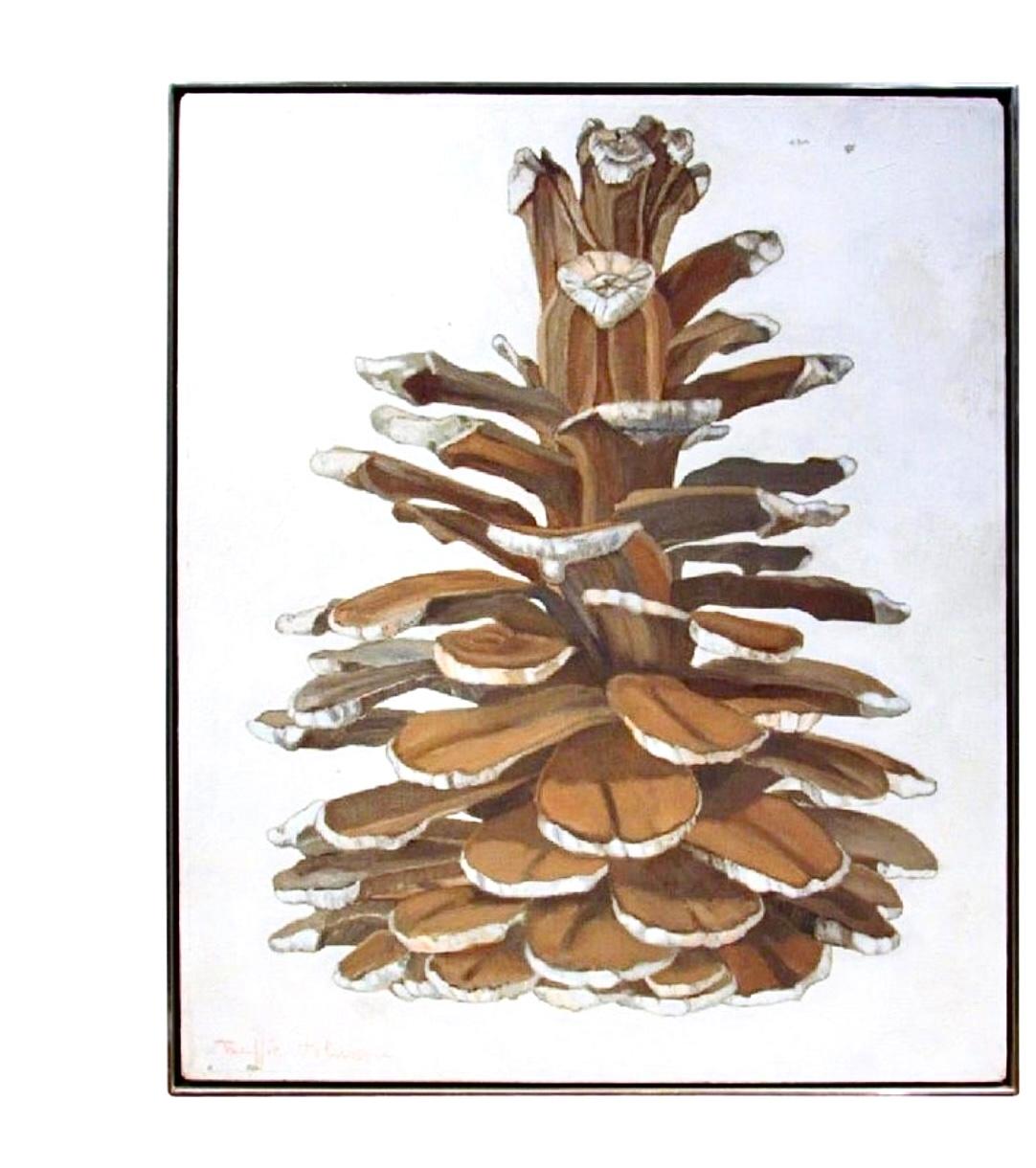 Modern Still-Life Pinecone Oil Painting Panel Buffie Johnson 1974 Plant Series For Sale