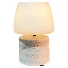 Modern Studio Table Lamp Rammed Raw Earth with Frosted Glass Shade