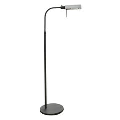 Modern Style Brushed Steel Adjustable Pharmacy Floor Lamp