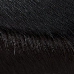 Modern Style Round Chubby Ottoman in Black Cowhide with Polished Brass Toe Kick