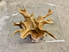 Modern Teak Root Side Table With Safety Glass Top, IDN 2024