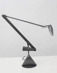 Modern Vintage Grey Aluminum Desk Lamp Zelig by Walter Monici 1980s for Lumina