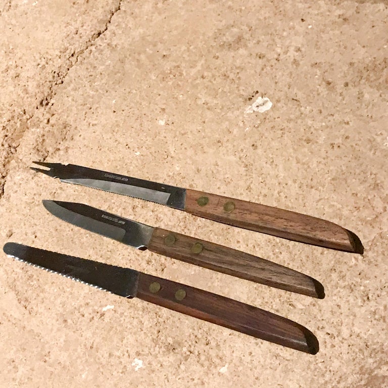 Modern Vintage Japanese Knife Cutlery Set in Rosewood and Stainless