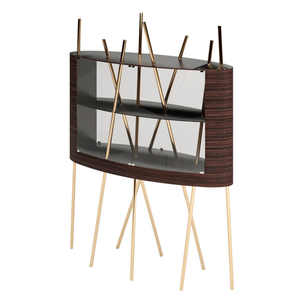 Modern Vitrine Display Case Ebony Macassar Wood Black Lacquer Brushed Brass