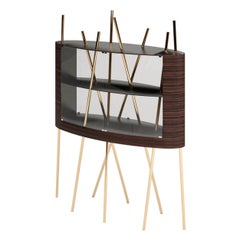 Modern Vitrine Display Case Ebony Macassar Wood Black Lacquer Brushed Brass