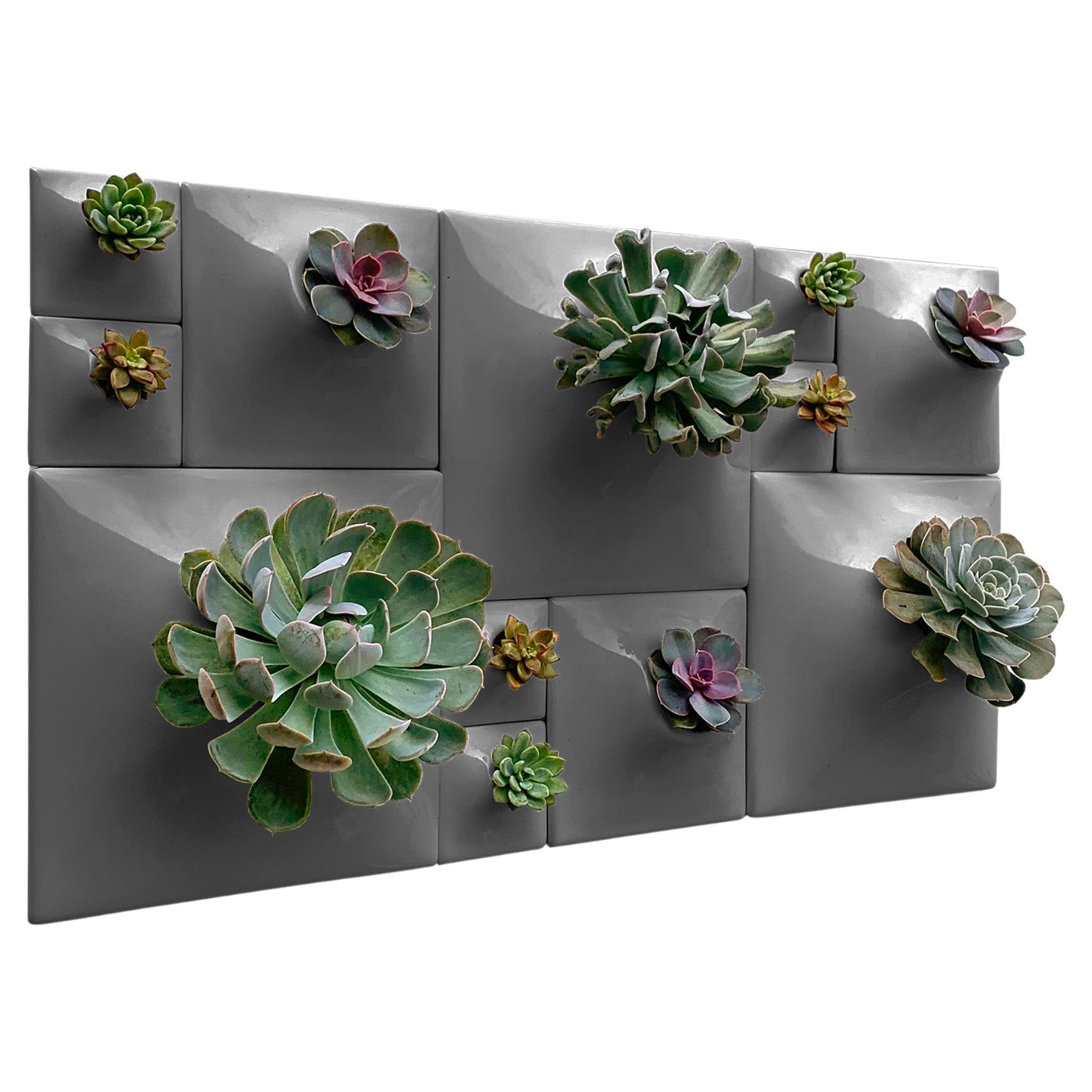 Modern Gray Greenwall, Mid Century Modern Wall Decor, Moss Wall Art, Node BS3D

Transform your modern interior design into an exciting greenwall and epicenter of living wall art with this striking Node Wall Planter set. Let your eyes wander over
