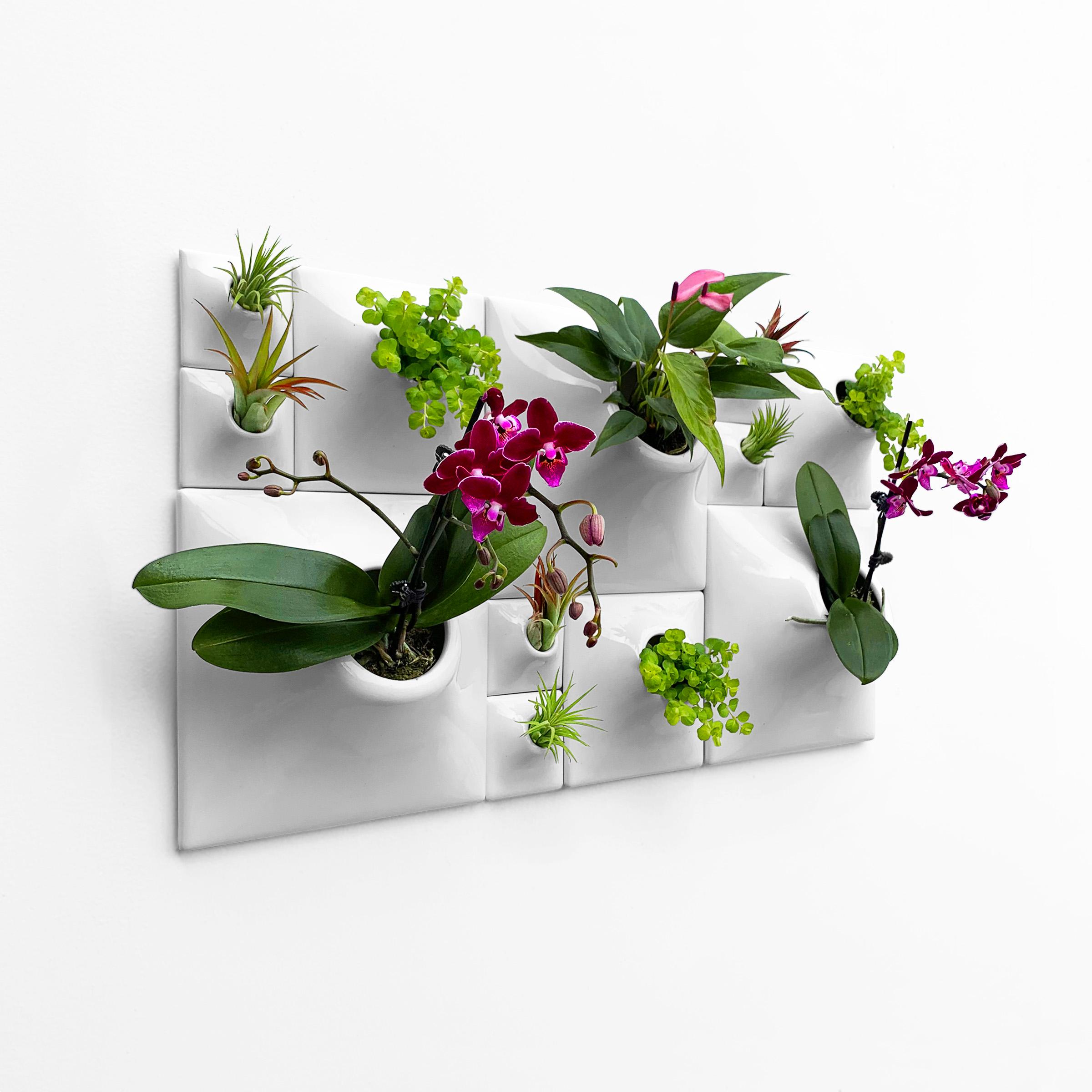 Modern Gray Greenwall, Mid Century Modern Wall Decor, Moss Wall Art, Node BS3L

Transform your modern interior design into an exciting greenwall and epicenter of living wall art with this striking Node Wall Planter set. Let your eyes wander over