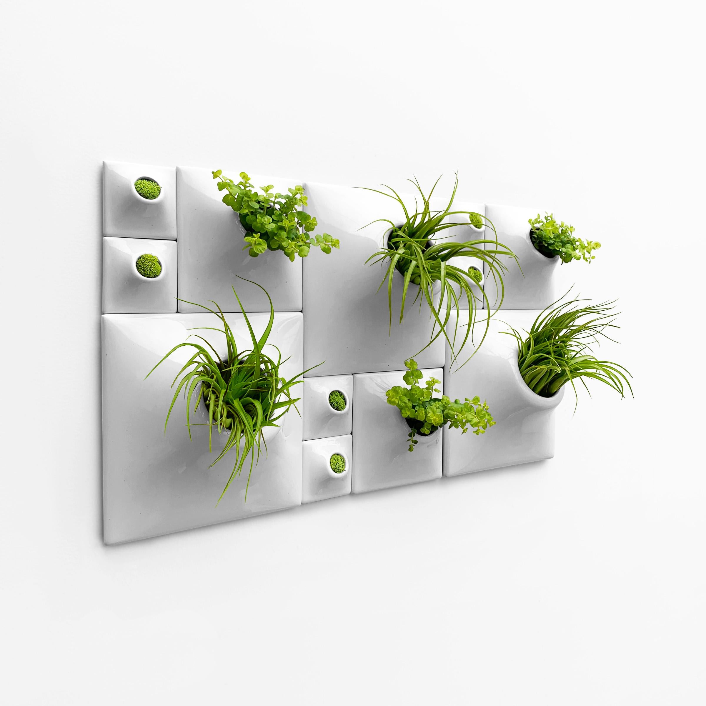 Contemporary Modern Gray Greenwall, Mid Century Modern Wall Decor, Moss Wall Art, Node BS3L For Sale