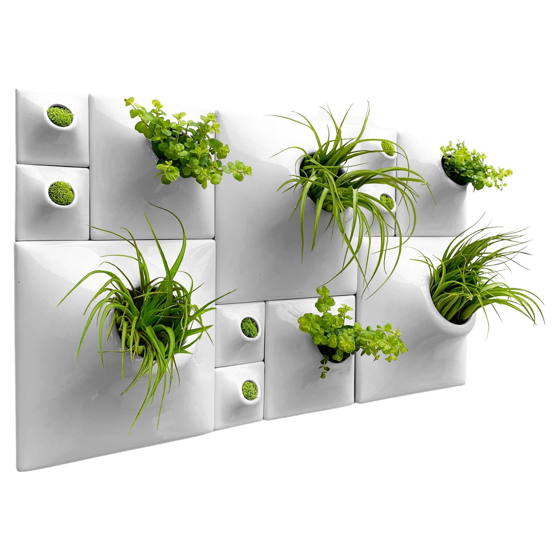 Modern Gray Greenwall, Mid Century Modern Wall Decor, Moss Wall Art, Node BS3L For Sale