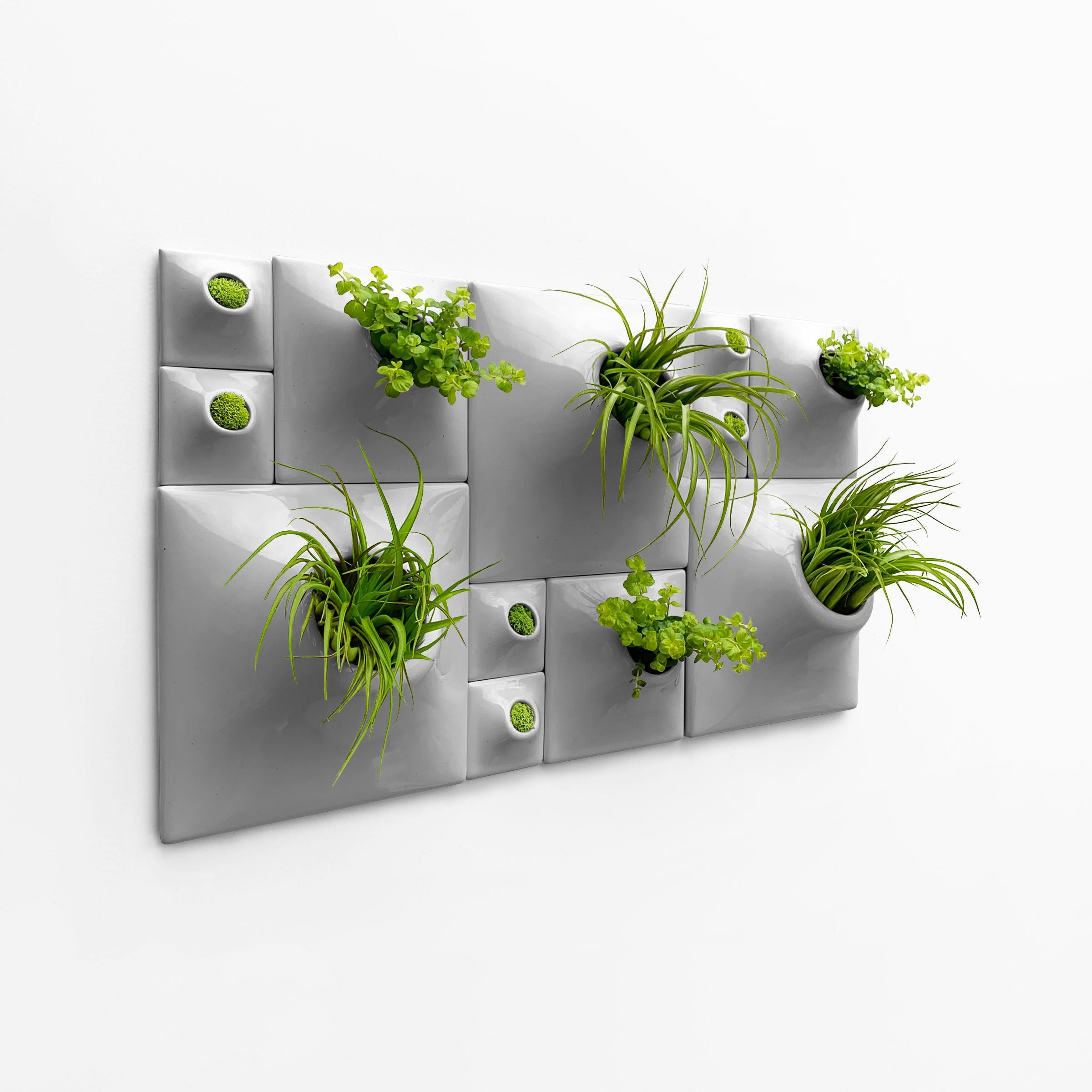 Modern Gray Greenwall, Mid Century Modern Wall Decor, Moss Wall Art, Node BS3M

Transform your modern interior design into an exciting greenwall and epicenter of living wall art with this striking Node Wall Planter set. Let your eyes wander over