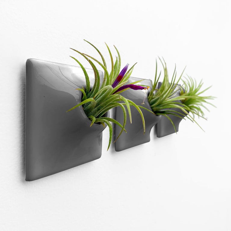 Modern Wall Planter Plant Wall Art Living Wall Decor Node 3" Set