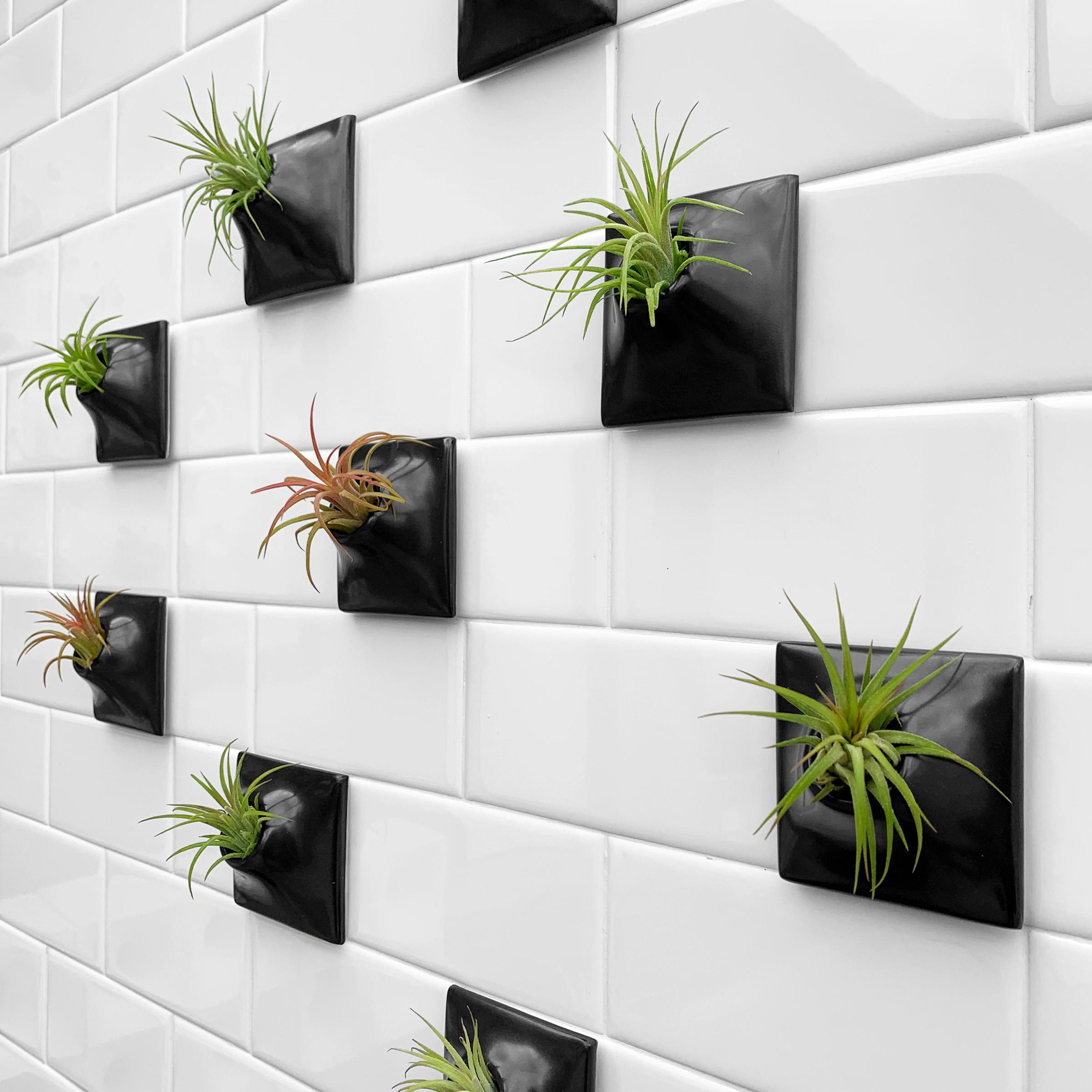 Ceramic Modern Black Wall Planter Set, Air Plant Holder, Moss Wall Art, Node 3