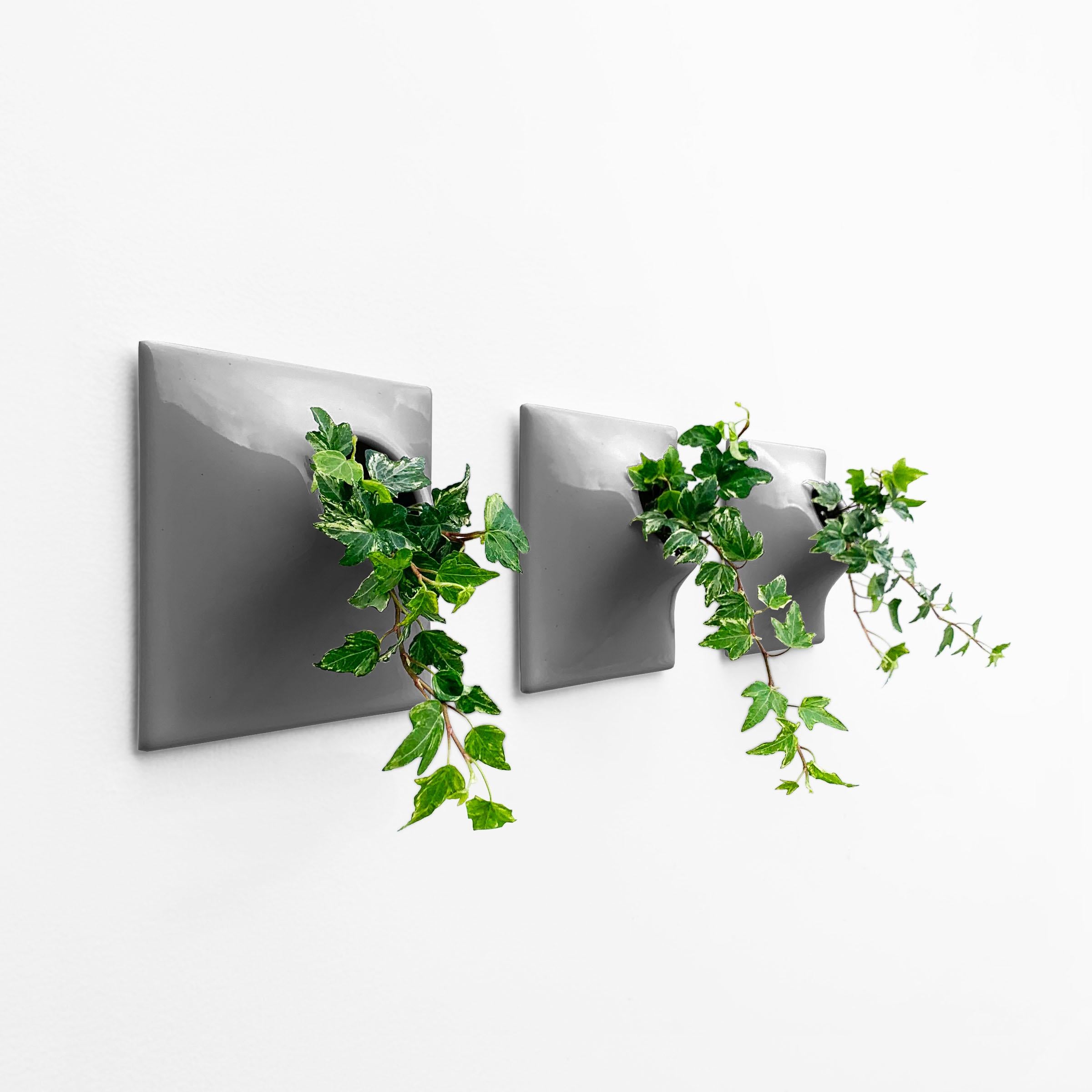Modern Gray Wall Planter Set, Plant Wall Art, Living Wall Decor, Node 6