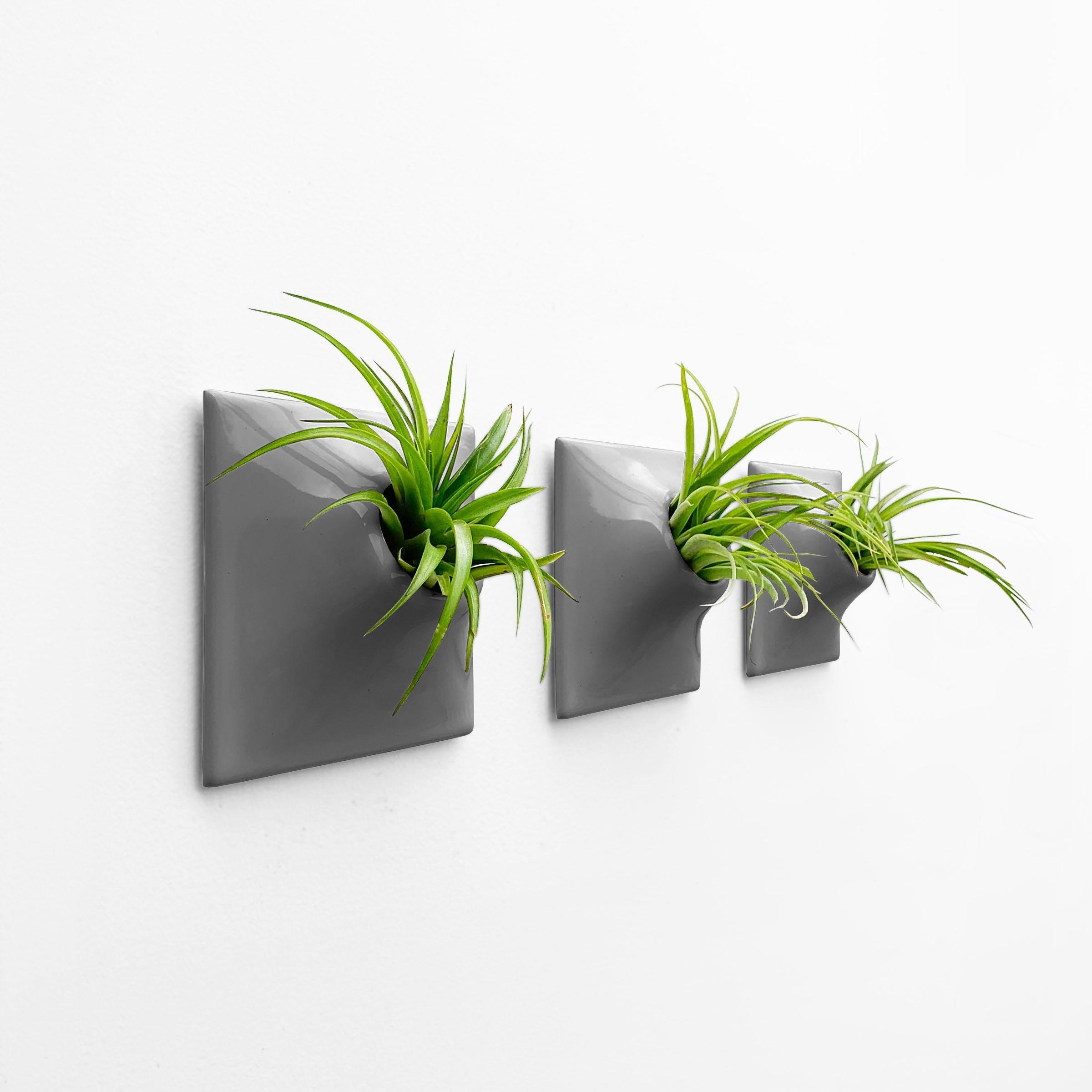 Glazed Modern Gray Wall Planter Set, Plant Wall Art, Living Wall Decor, Node 6