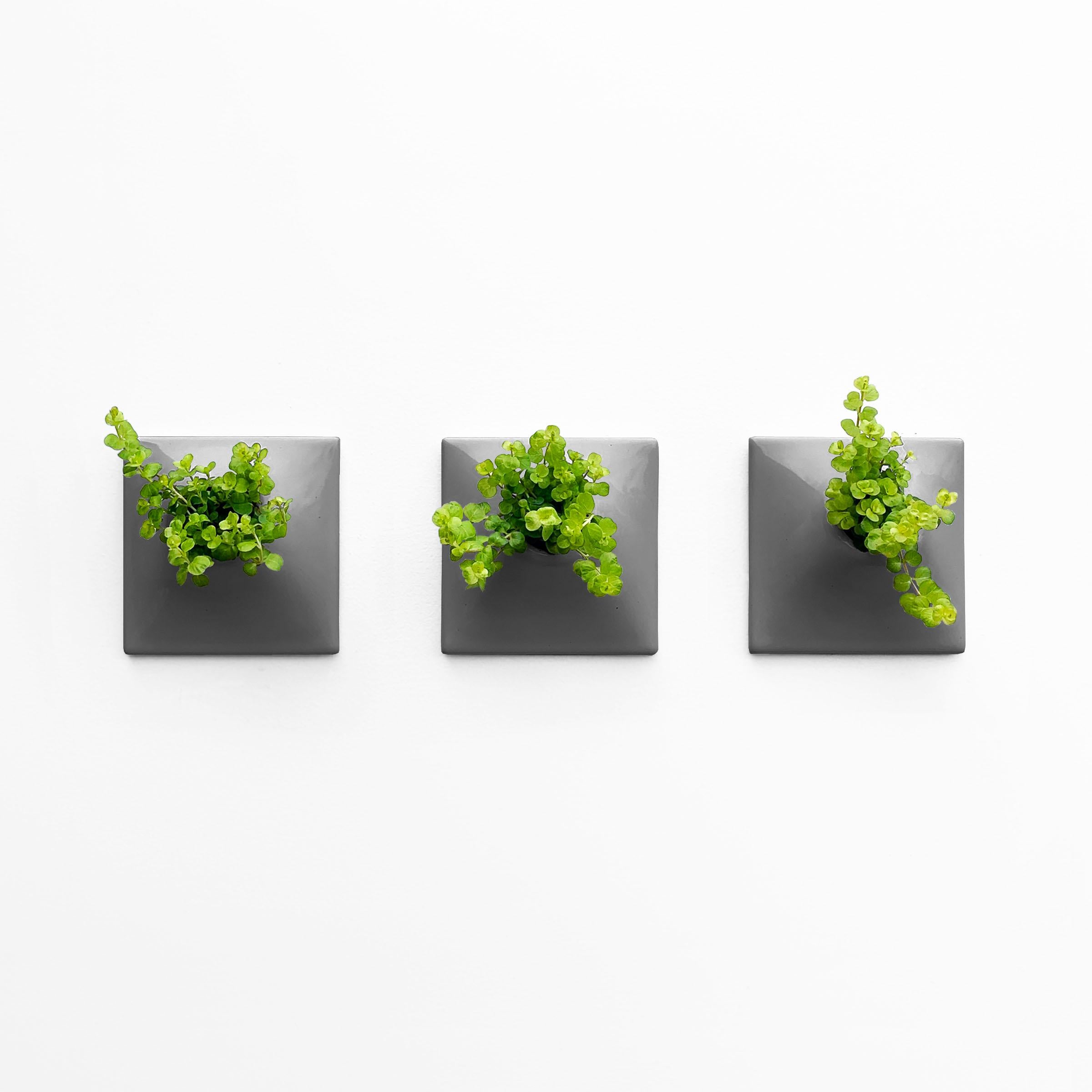 Contemporary Modern Gray Wall Planter Set, Plant Wall Art, Living Wall Decor, Node 6