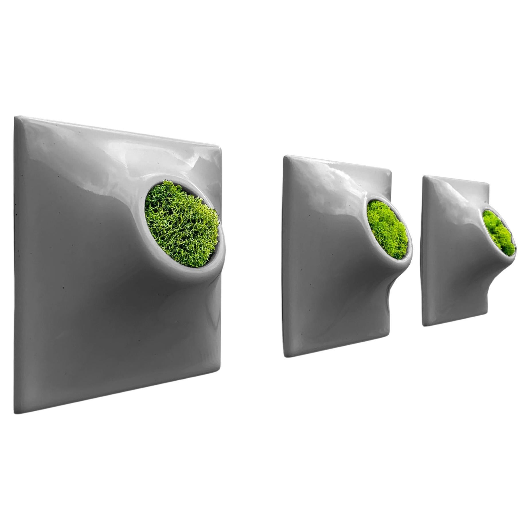 Modern Gray Wall Planter Set, Plant Wall Art, Living Wall Decor, Node 6" Small D For Sale